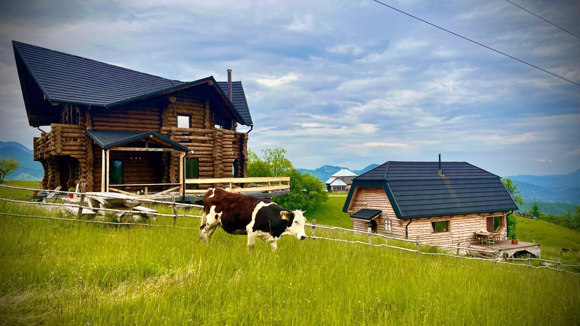 The Barn Villa Şirnea Buitenkant foto