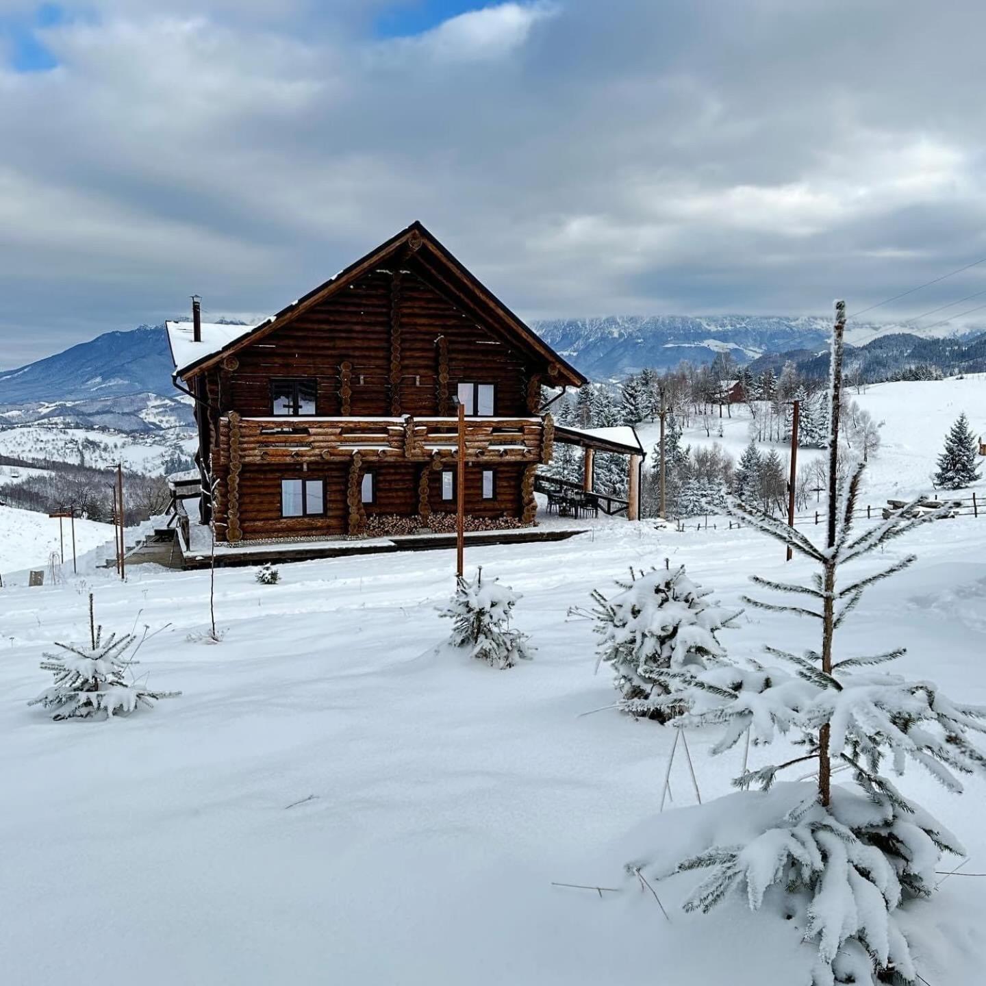 The Barn Villa Şirnea Buitenkant foto