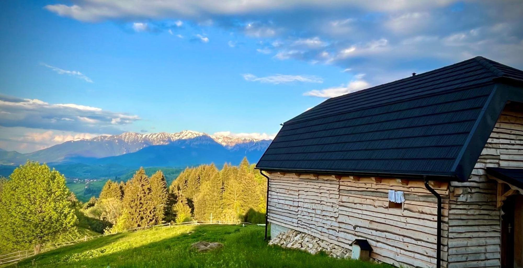The Barn Villa Şirnea Buitenkant foto